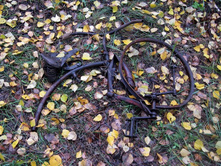 ������������ � ���� �� �������