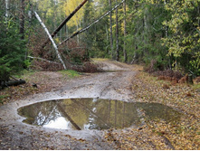 ����� ���� - ���� � ������ ?