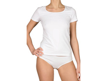 �������� ������� OVI  