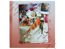 493,26�. ��� 44674 (70228V) ���������� 500�. Pioneer LM-4R500RB 3-o #just married 12151     �������.jpg