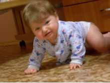 5 �������