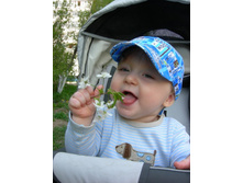 10 �������