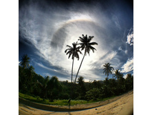 �� ���� (�������)