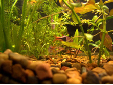 �������, ����� � ��������