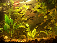 ���������� � �������� �����