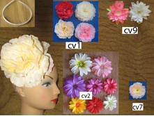 ���. cv1, cv2, cv7, cv9