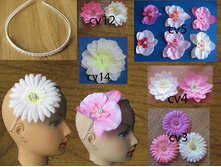 ���. cv12, cv5, cv4,cv3,cv14