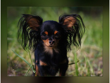 �.�.������