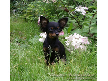 �.�. �� �� �����