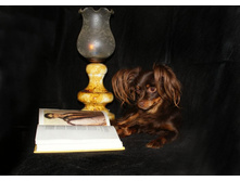 �.�. ��������