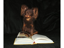 �.�. ��������