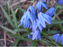 ����� �������