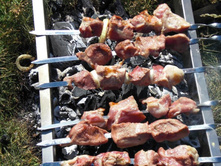 �����������