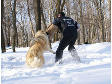 �.�. ����