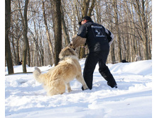 �.�. ����