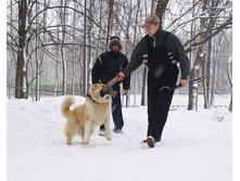 �.�. ����