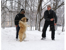 �.�. ����