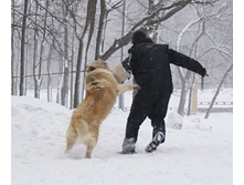 �.�. ����