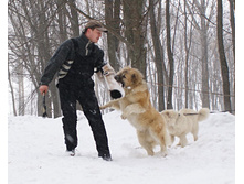 �.�. ����