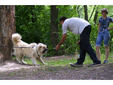 �.�. ����