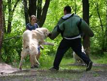 �.�. ����