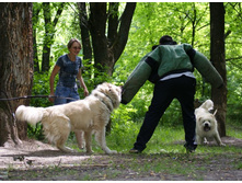 �.�. ����