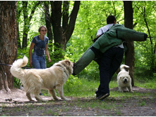 �.�. ����