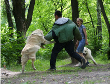 �.�. ����