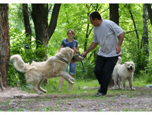 �.�. ����