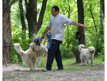 �.�. ����