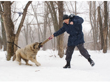 �.�. ������ �������