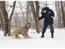 �.�. ������ �������