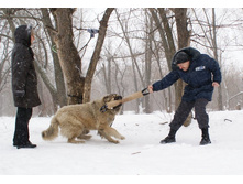 �.�. ������ �������