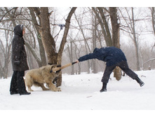 �.�. ������ �������