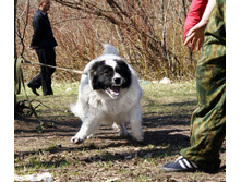 ���������� ���� �̣�