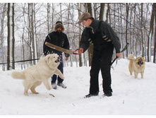 ���������� ���� ��������