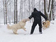 �.�. ��������