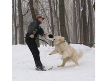 �.�. ��������