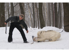 �.�. ��������