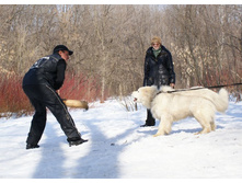 �.�. ��������