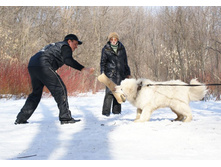 �.�. ��������