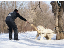 �.�. ��������