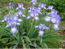 ���� ����������