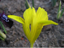 ���� ���������������