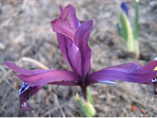 ���� ���������������