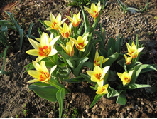 ������� \"������\"