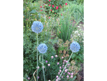 ������������ ���