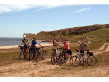 �� �����