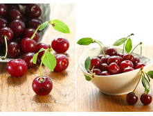 ����� �������, � ��������� 100 �, 19,5 �