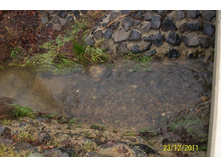 ������� ����� -1